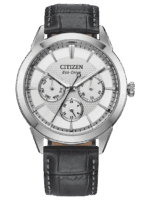 Citizen Rolan Watch Model BU2110-01A
