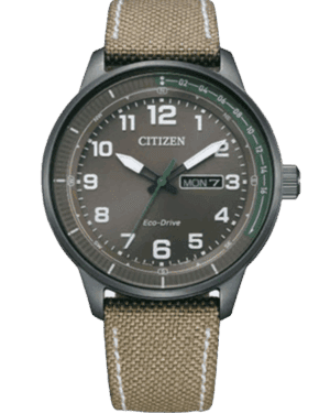 Citizen Tactical Day-Date Men's Watch